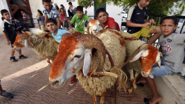 Treasured traditions unite Algerian families together as they celebrate Eid al-Adha