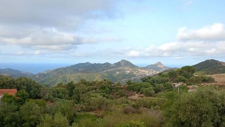 From Fire to Resilience: Rethinking How Algeria Manages Its Forests